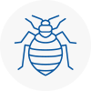 Bed Bug Extermination In East Grinstead
